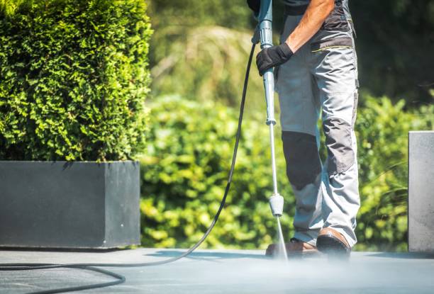 Best Rust Removal  in Ocoee, FL