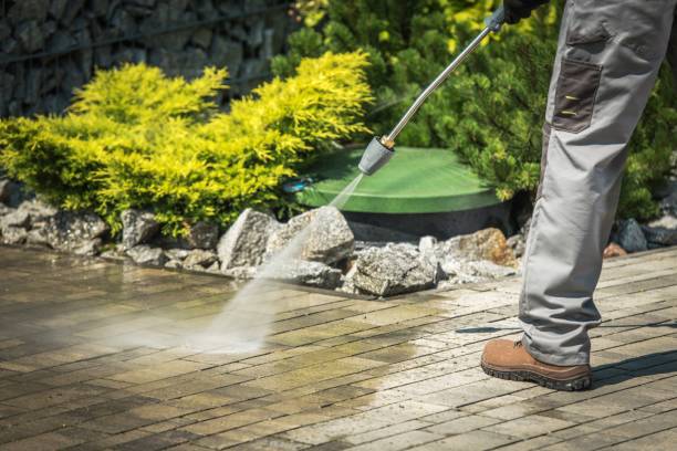 Best Animal Enclosure Cleaning  in Ocoee, FL